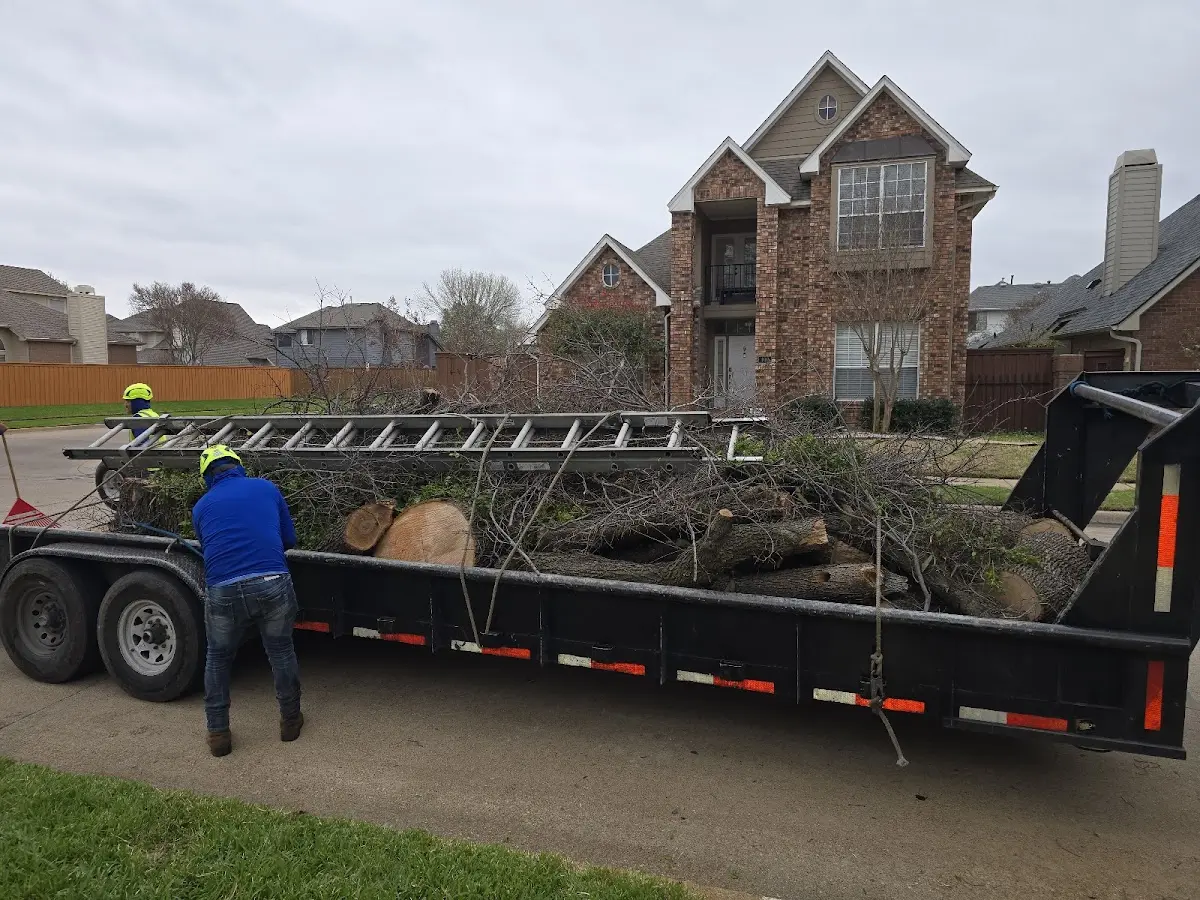 Expert Tree Fertilization with proper safety equipment in York New Salem
